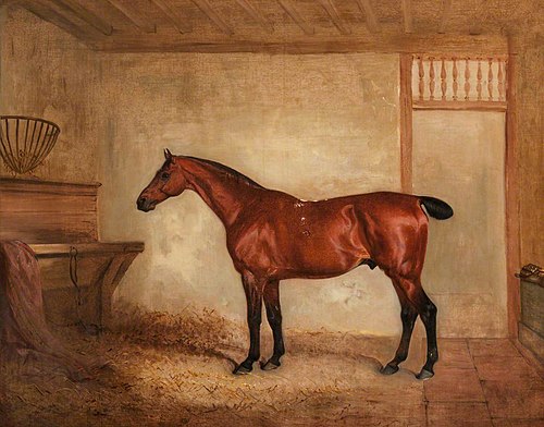 A Chestnut Horse in a Stable, 1829, John Ferneley