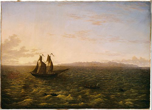 The Island of Madeira, 1831, John Glover