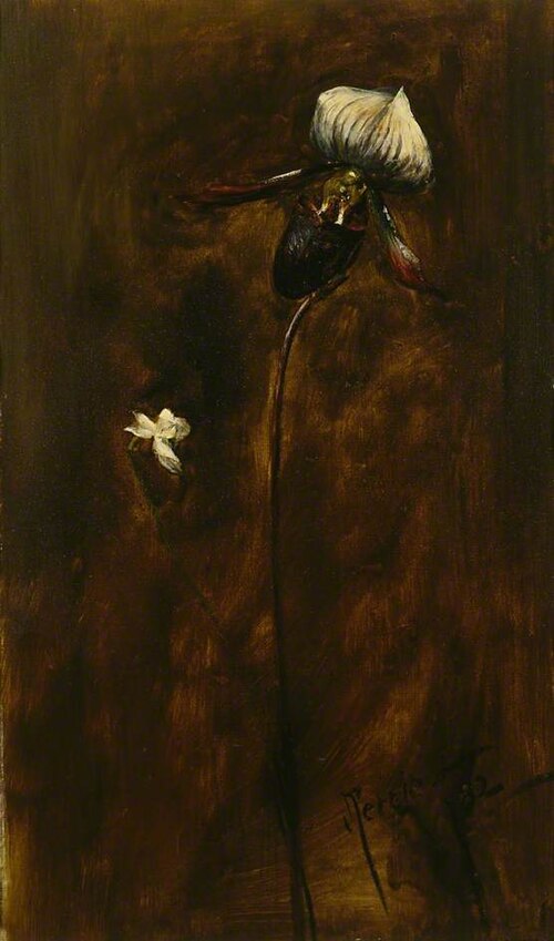 Study of two Flowers, 1882, John Pettie