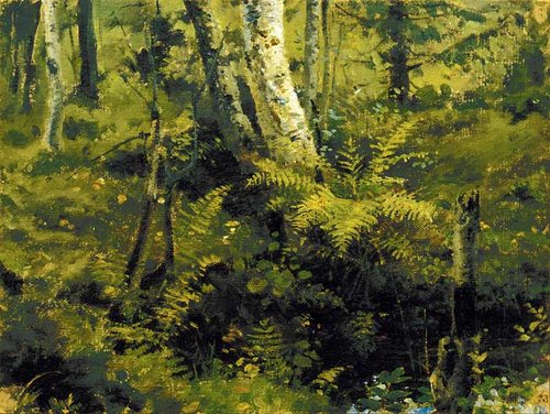 Берёзы и папоротники, 1873, Vassili Polenov