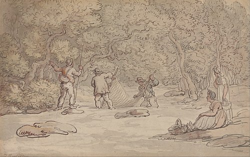 Netting a Salmon Pool, , Thomas Rowlandson