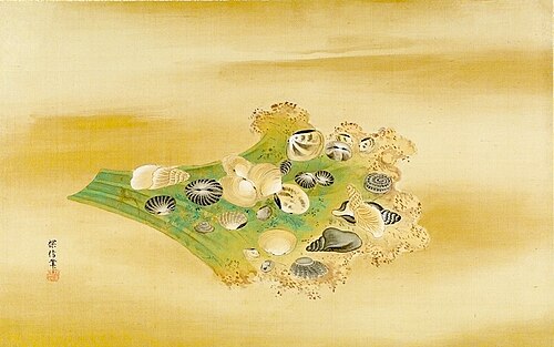 Twenty-Four Sea Shells on a Leaf, 1683, Kanō Tanshin