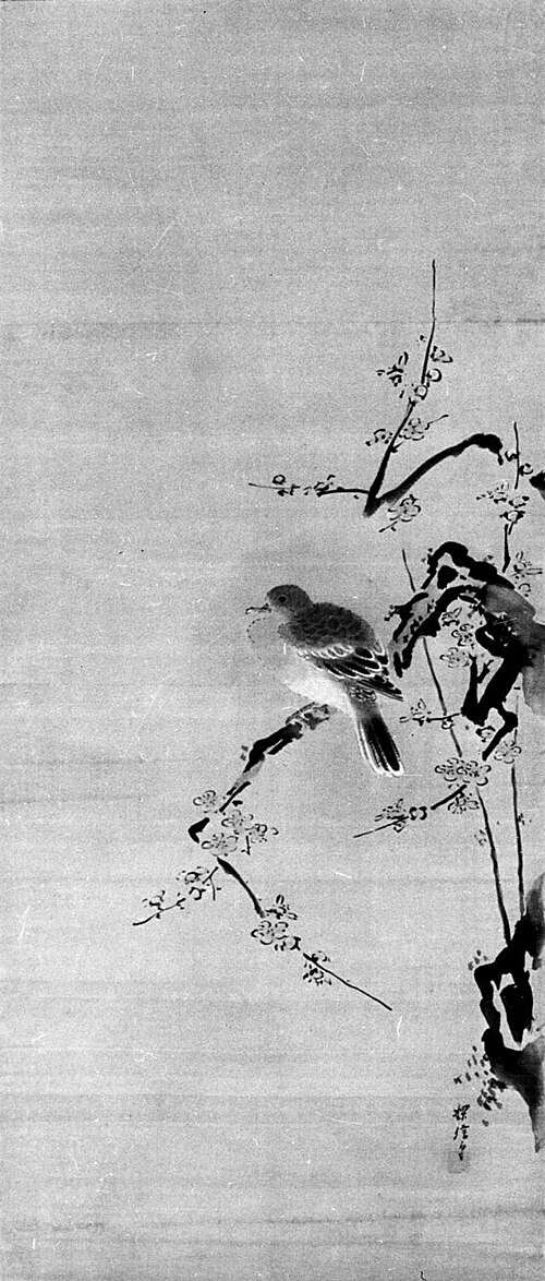 Dove on Plum Tree, 1685, Kanō Tanshin