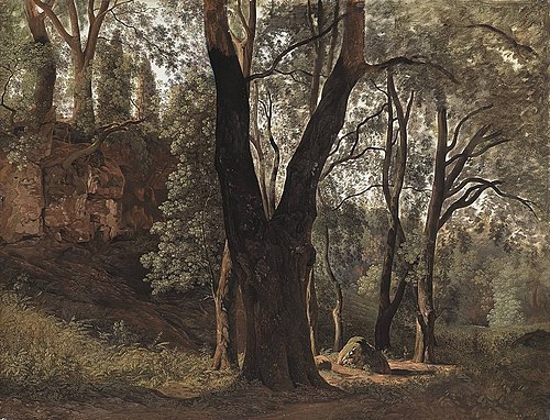 Waldinneres (Studie), 1823, Johann Martin von Rohden