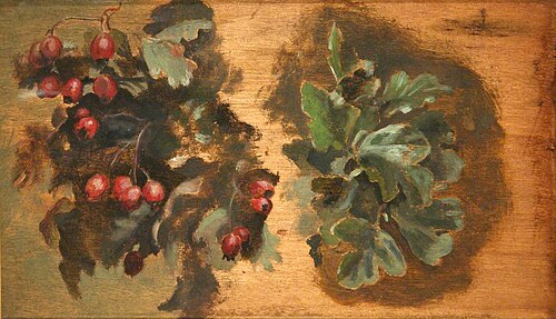 Studies of Hawthorn Berries and Leaves, 1875, Ford Madox Brown