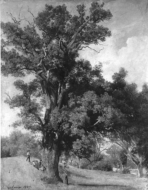 Landschaft mit Eiche, 1847, Julius Lange