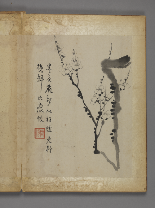 汪士慎花卉册, , Wang Shishen