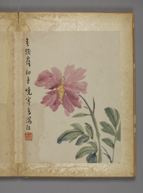 汪士慎花卉册, , Wang Shishen