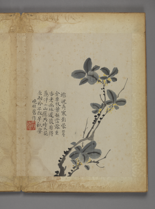 汪士慎花卉册, , Wang Shishen