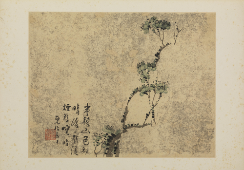 汪士慎梅花图册, , Wang Shishen