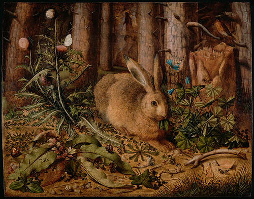 A Hare in the Forest, 1585, Hans Hoffmann