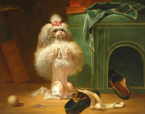 Dog of the Havana Breed, 1768, Jean-Jacques Bachelier
