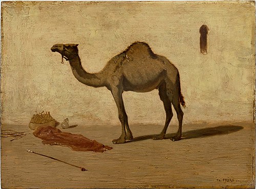 Camel, , Charles-Théodore Frère