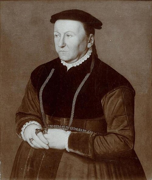 Portrait of an unknown woman, 1570, Nicolas Neufchâtel