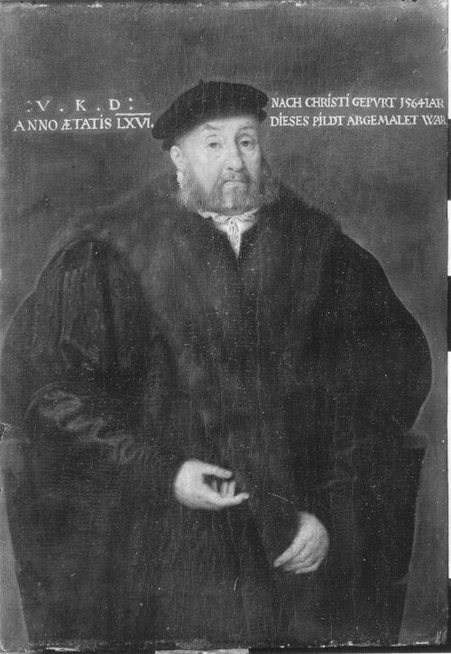 Bildnis eines Mannes im Alter von 66 Jahren, 1564, Nicolas Neufchâtel