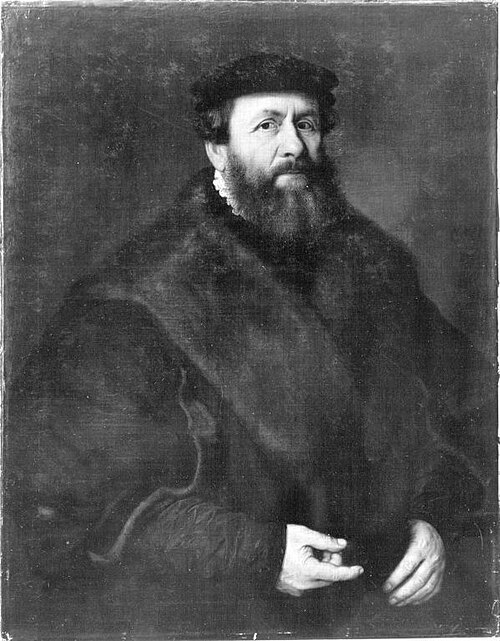 Graubärtiger Mann, 1558, Nicolas Neufchâtel