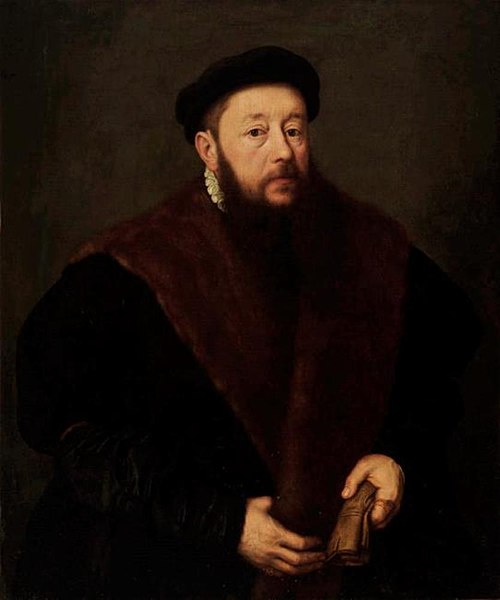 Portrait d'un homme, 1565, Nicolas Neufchâtel