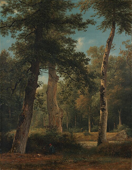 A forest in Fontainebleau, 1839, Georgius Jacobus Johannes van 