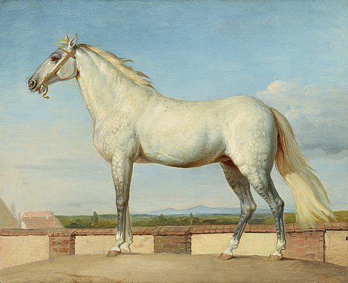 Schimmel vor einer niederen Mauer, 1845, Johann Peter Krafft