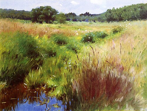 Marshland, Medfield, 1890, Dennis Miller Bunker