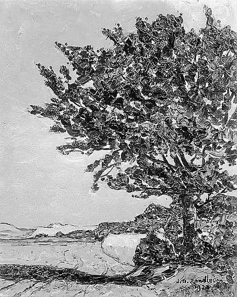 Boom aan akkerzoom in de duinen, 1920, Jan Adam Zandleven