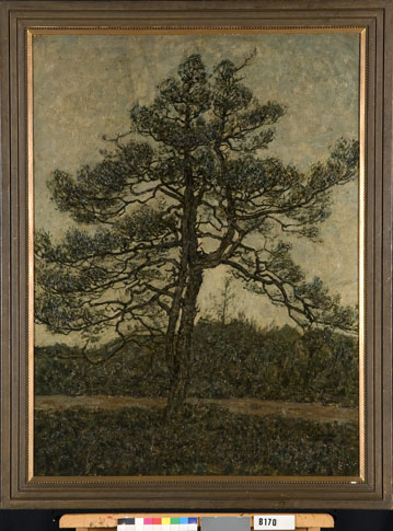 Denneboom, 1909, Jan Adam Zandleven