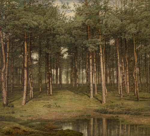 Fir Wood at Putte, 1883, Jean Pierre François Lamorinière