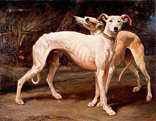 Two Greyhounds, 1850, Louis Godefroy Jadin