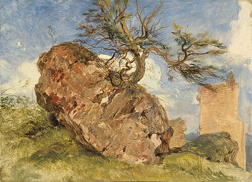 Study of a rock and a tree, , Edwin Landseer