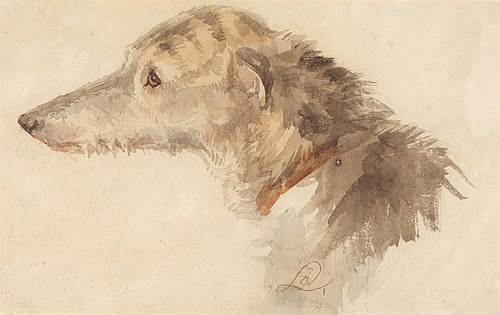 An Irish Wolfhound, , Edwin Landseer