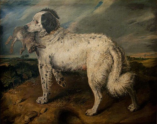 The Champion: Venus, 1819, Edwin Landseer