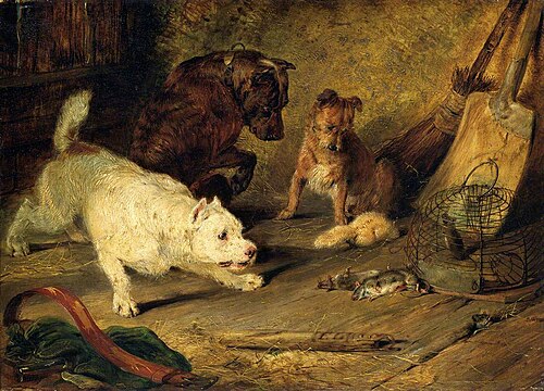 Ratcatchers, 1821, Edwin Landseer