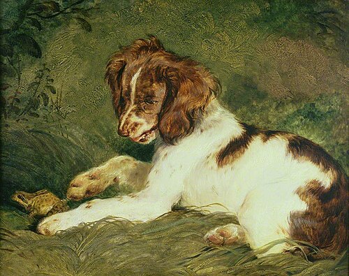 A Puppy Teasing a Frog, 1824, Edwin Landseer