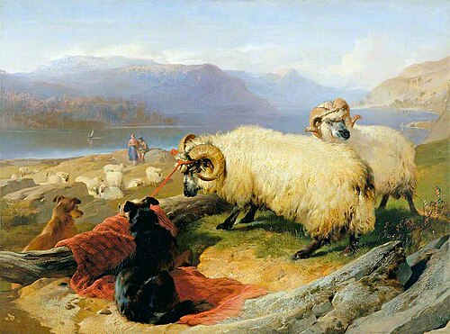 Tethered Rams, 1839, Edwin Landseer