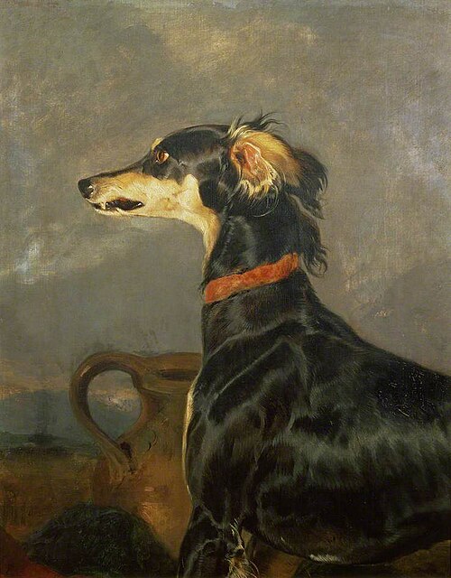A Saluki Dog, 1840, Edwin Landseer