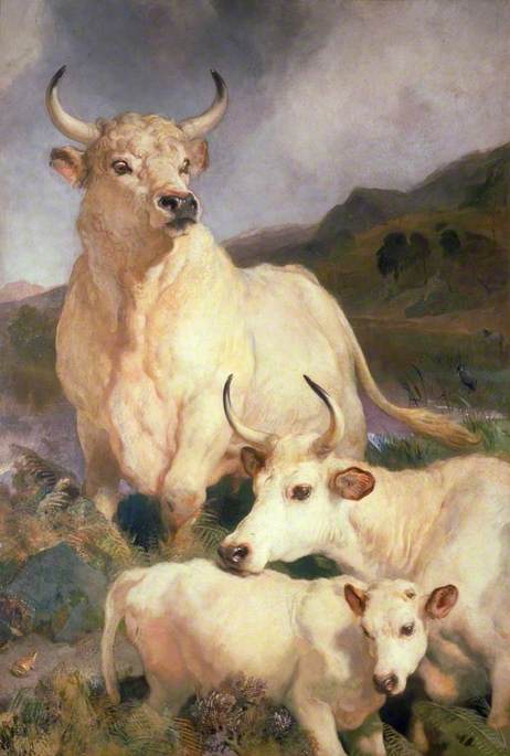 Wild Cattle of Chillingham, Northumberland, 1867, Edwin Landseer