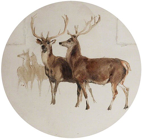Deer in a Landscape (Studies of Deer), , Edwin Landseer