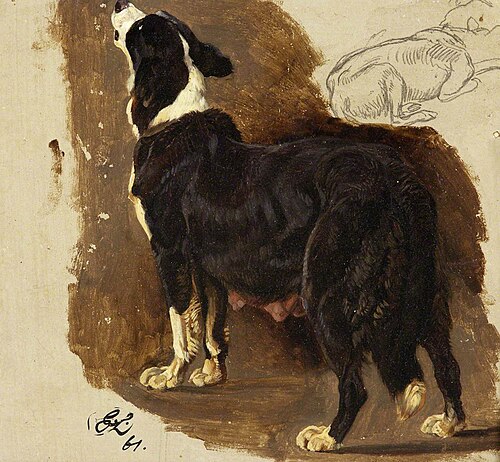Collie Bitch, , Edwin Landseer
