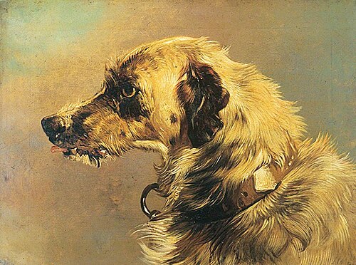 Head of a Deer Hound, , Edwin Landseer