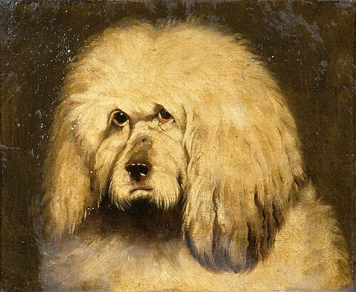 Study of a Dog's Head, , Edwin Landseer