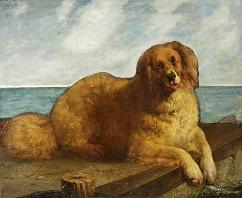 Dog, , Edwin Landseer