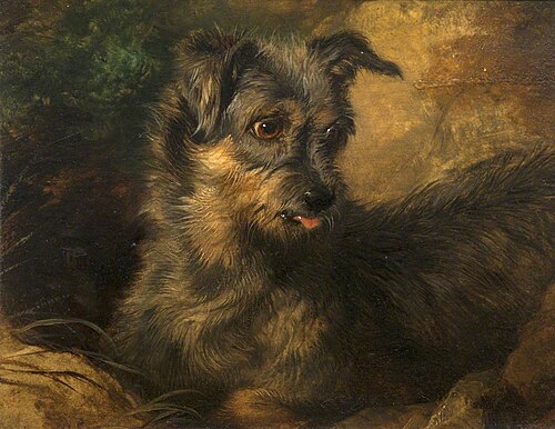 'Ginger', , Edwin Landseer