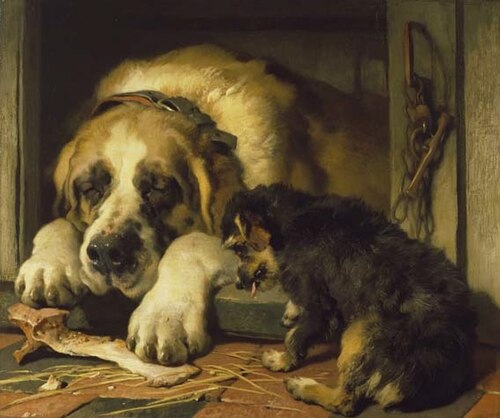 Doubtful Crumbs, 1858, Edwin Landseer