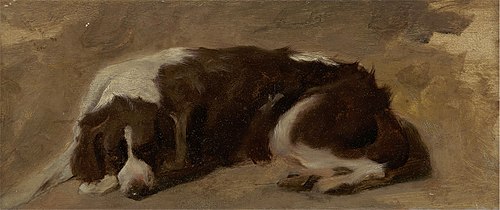 A Spaniel Lying Down, 1860, Edwin Landseer