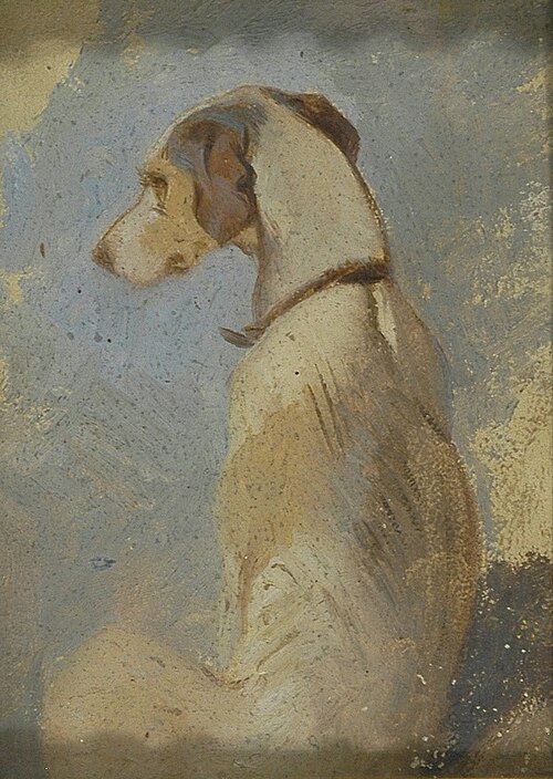 Study of a Greyhound, 1860, Edwin Landseer