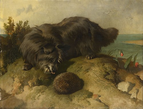 Dandie Dinmont, 1852, Edwin Landseer