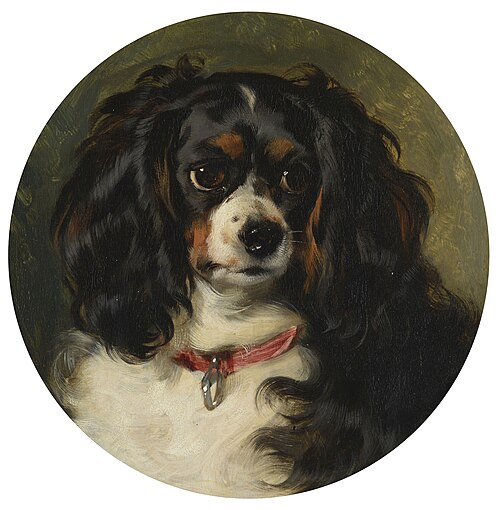 Dash, 1836, Edwin Landseer
