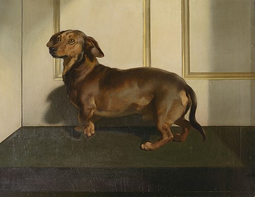 Däckel, 1849, Edwin Landseer