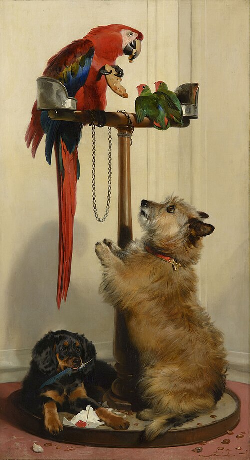 Islay, Tilco, a Macaw and two Lovebirds, 1839, Edwin Landseer