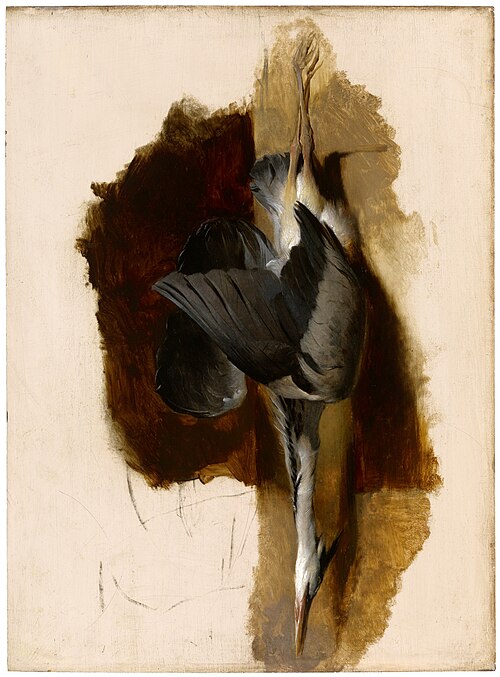 Study of a Dead Heron, 1832, Edwin Landseer